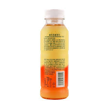 Starbucks Juice Tea 330ml - Bizzyvends